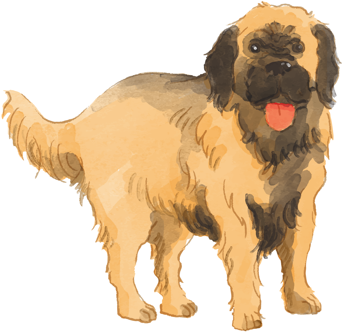 レオンベルガー(立ち姿)犬のリアルかっこいい無料イラスト74648に写真・文字を入れる