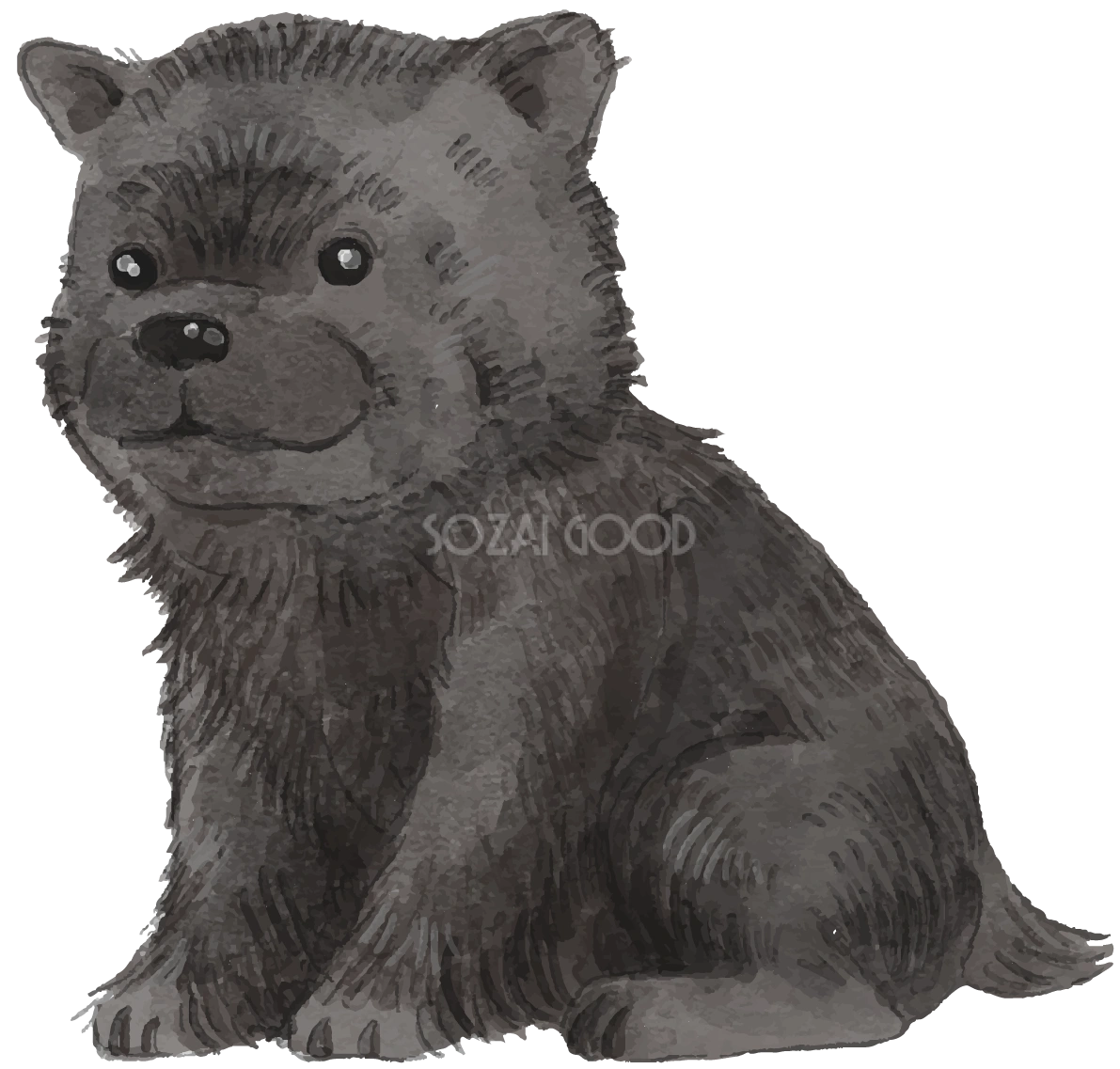 甲斐犬(座り姿・子犬)犬のリアルかっこいい無料イラスト74668
