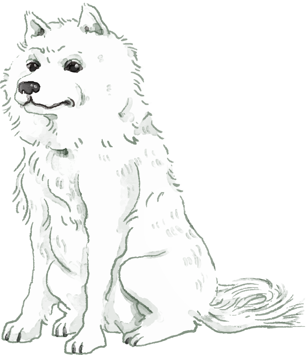 秋田犬(座り姿)犬のリアルかっこいい無料イラスト74685に写真・文字を入れる