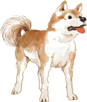 50 犬 イラスト 簡単 無料イラスト画像