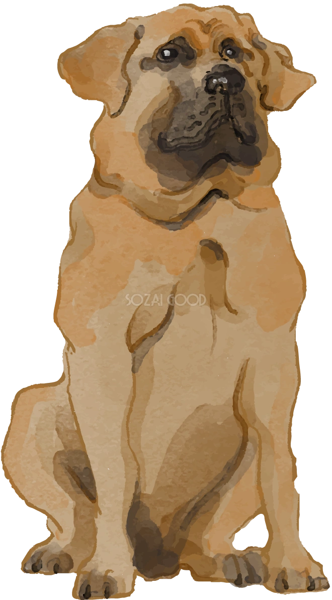 土佐犬(座り姿)犬のリアルかっこいい無料イラスト74693