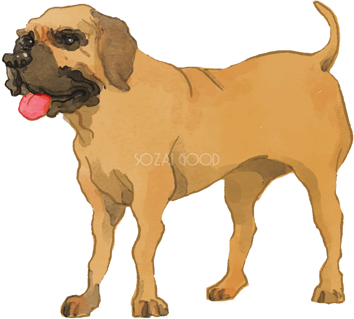 土佐犬(立ち姿)犬のリアルかっこいい無料イラスト74697
