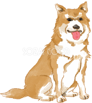 北海道犬(座り姿)犬のリアルかっこいい無料イラスト74709