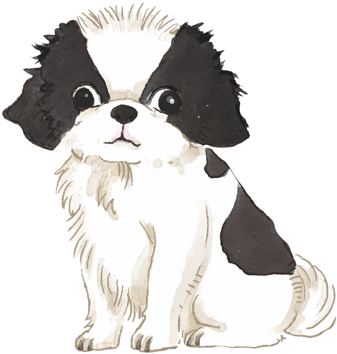 狆（ちん）(座り姿・子犬)犬のリアルかっこいい無料イラスト74717に写真・文字を入れる