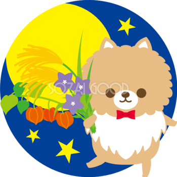 ポメラニアン(犬)の十五夜(秋の花を持つ)動物無料イラスト75196