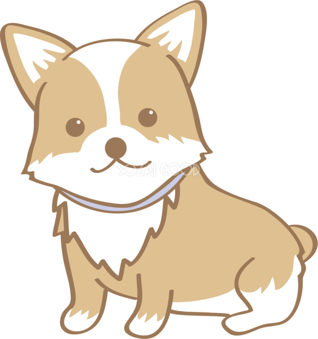 無料イラスト画像 50 犬 おすわり 正面 イラスト