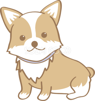 かわいいコーギー お座り 座る 犬の無料イラスト 素材good