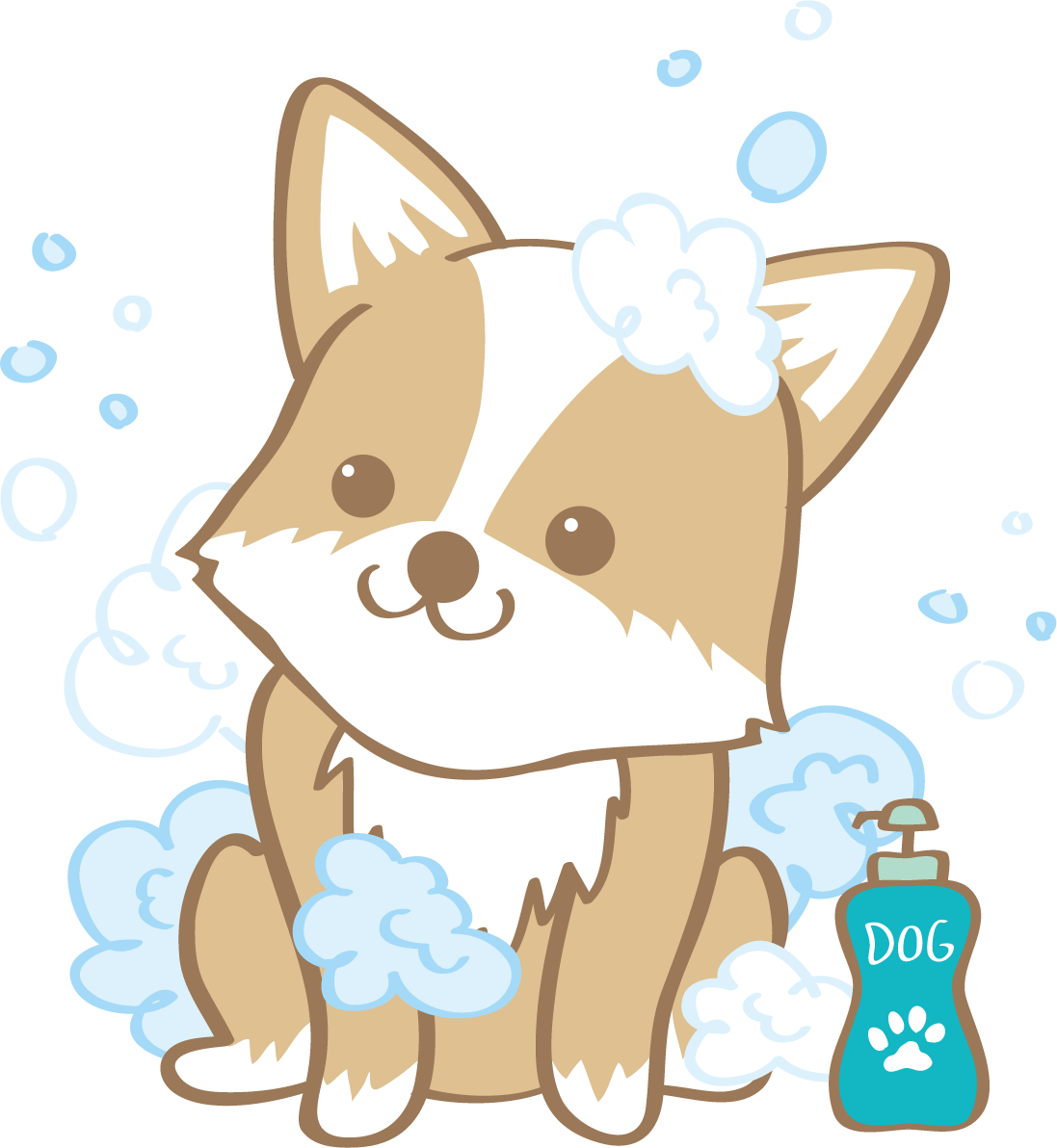 かわいいコーギー(シャンプー)犬の無料イラスト80009に写真・文字を入れる