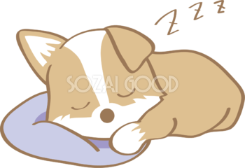 かわいいコーギー(寝る)犬の無料イラスト80015