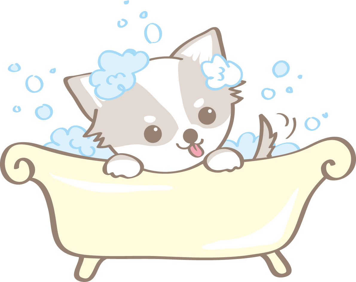かわいいチワワ(シャンプー)犬の無料イラスト80089に写真・文字を入れる