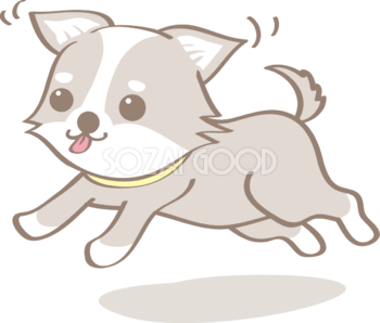 かわいいチワワ(走る)犬の無料イラスト80096