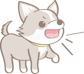 チワワ 犬 イラスト 無料フリー 素材good