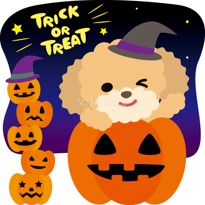 ハロウィン かぼちゃtrick Or Treat トイプードル 犬 のかわいい動物