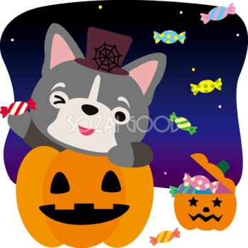 ハロウィン(かぼちゃとキャンディ)フレンチ・ブルドッグ(犬)のかわいい動物無料イラスト80108