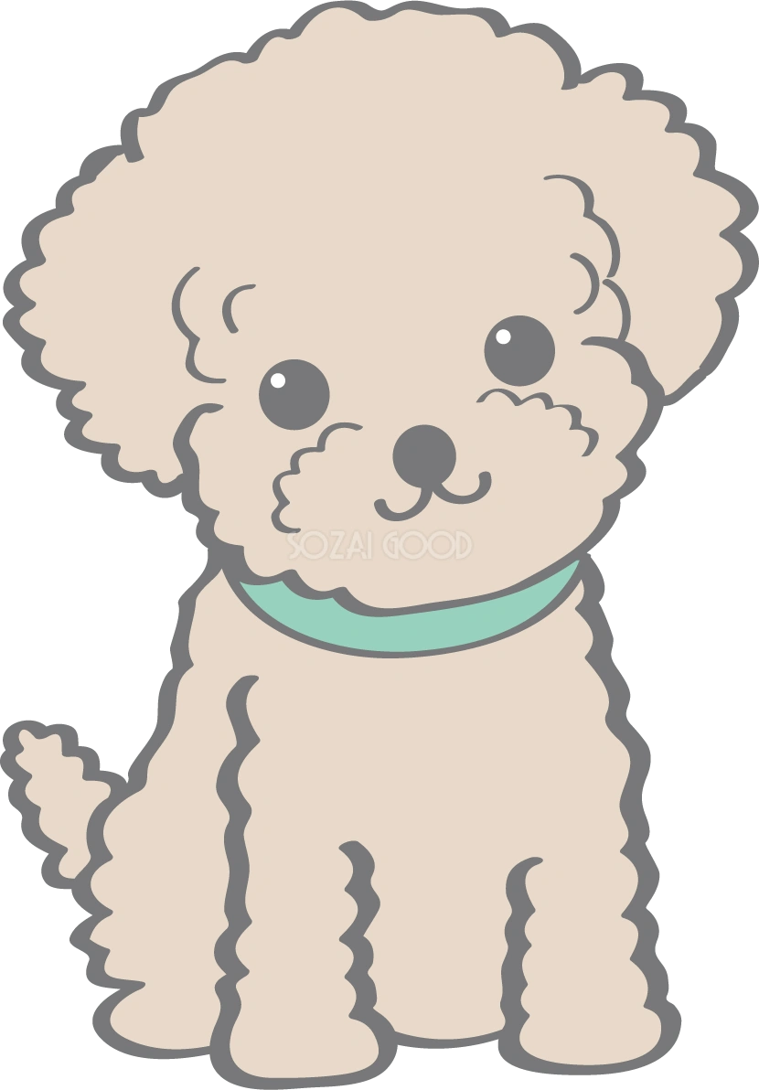 かわいいトイプードル(お座り・座る)犬の無料イラスト80133