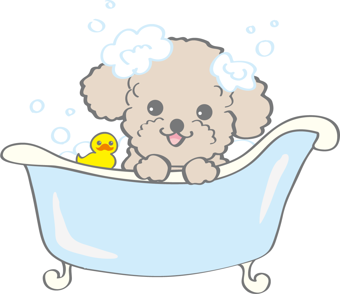 かわいいトイプードル(シャンプー)犬の無料イラスト80139に写真・文字を入れる