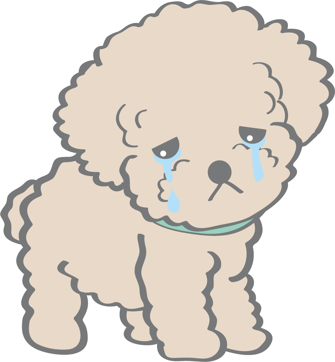 かわいいトイプードル(泣く)犬の無料イラスト80143に写真・文字を入れる