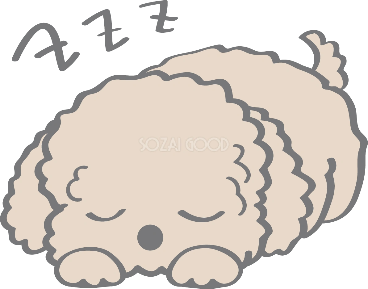 かわいいトイプードル(寝る)犬の無料イラスト80151 | 素材Good