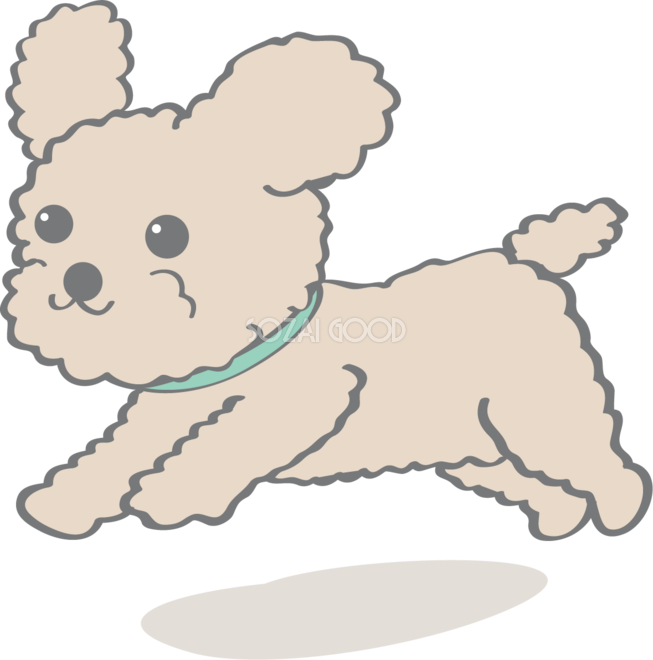 かわいいトイプードル 走る 犬の無料イラスト 素材good