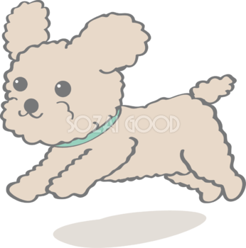かわいいトイプードル(走る)犬の無料イラスト80152