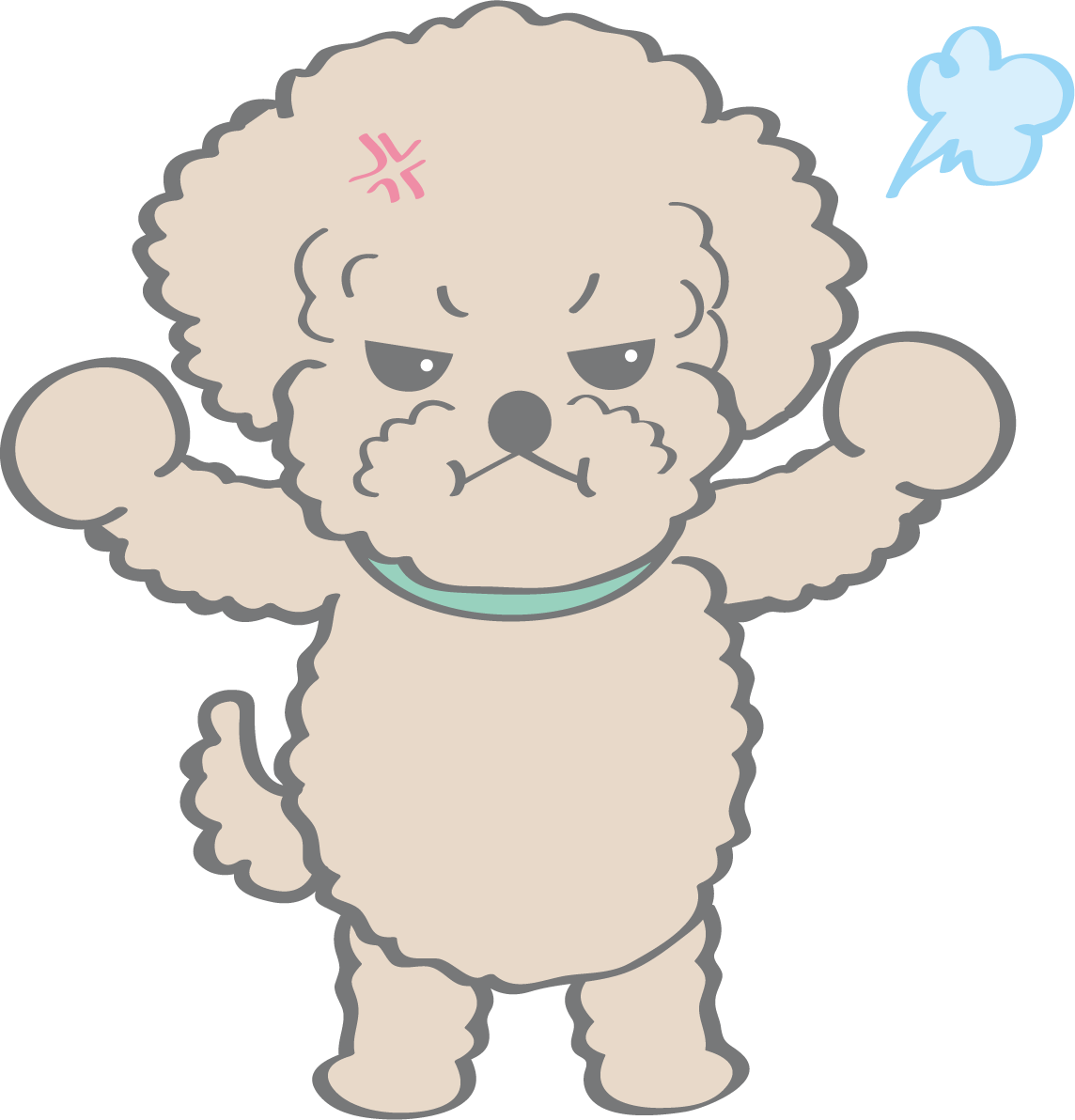 かわいいトイプードル(怒る)犬の無料イラスト80153に写真・文字を入れる