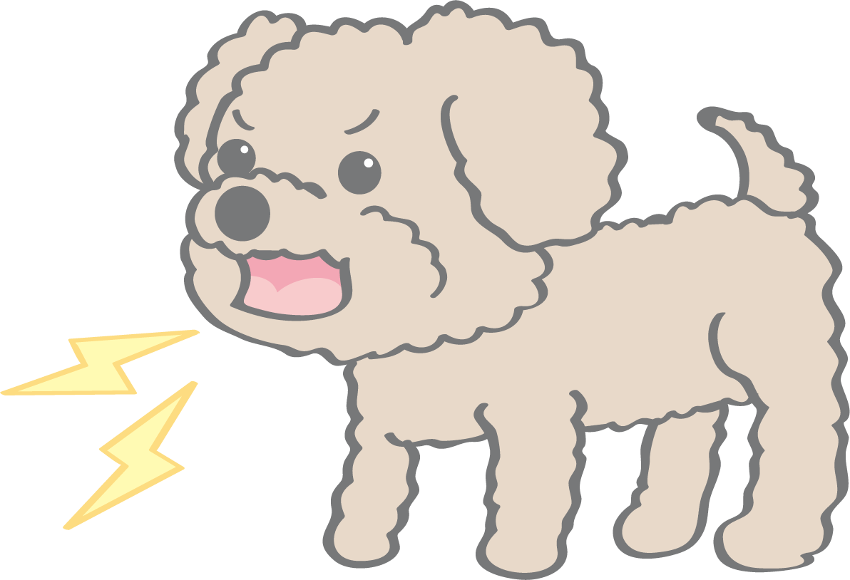 かわいいトイプードル(吠える)犬の無料イラスト80157に写真・文字を入れる