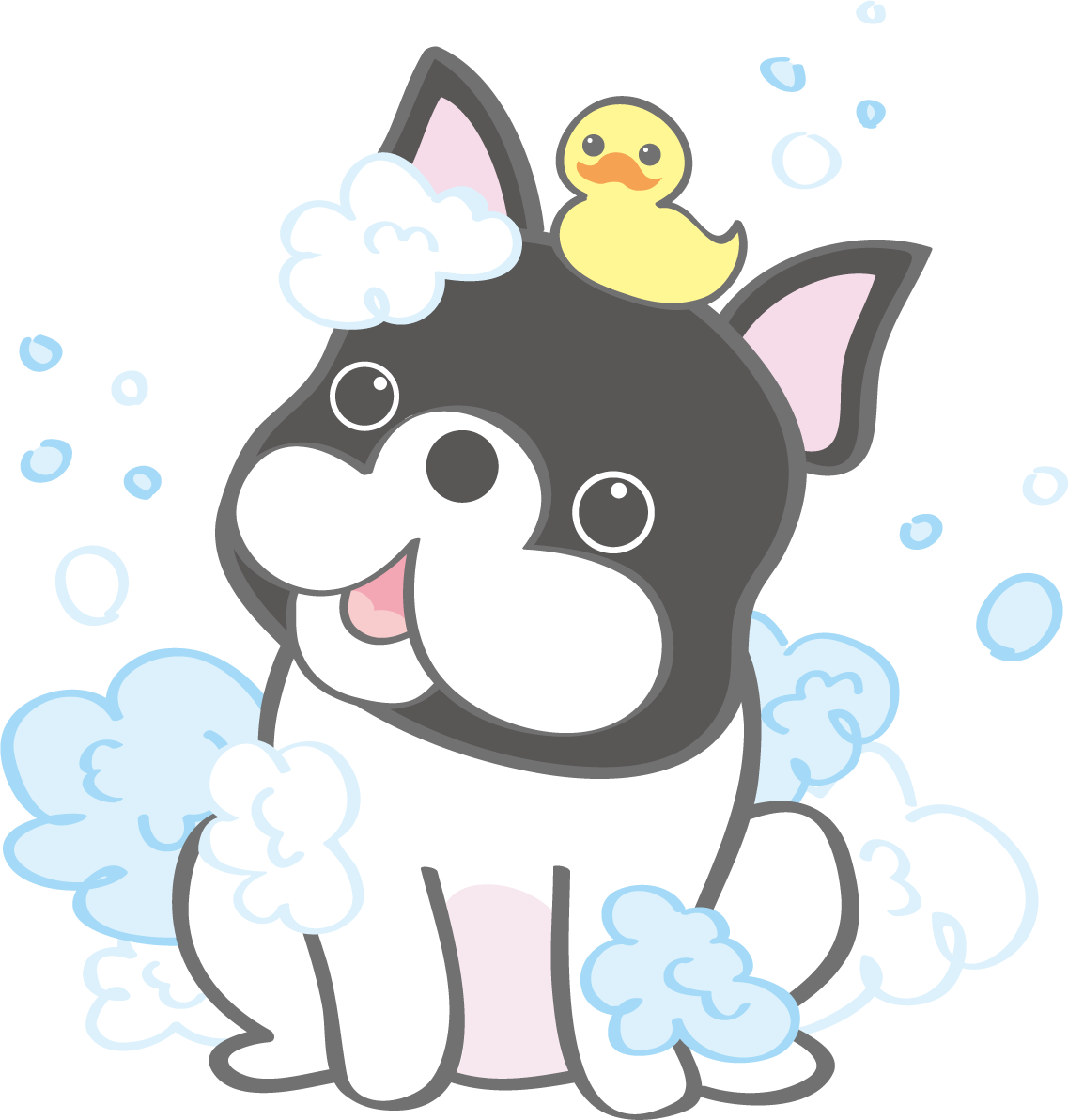 かわいいフレンチ・ブルドッグ(シャンプー)犬の無料イラスト80160に写真・文字を入れる