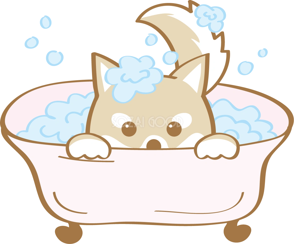 かわいい柴犬(シャンプー)犬の無料イラスト80175