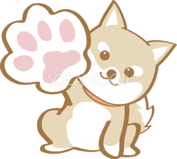 犬 柴犬 イラスト かわいい