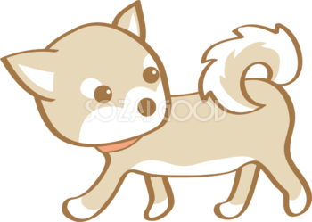 かわいい柴犬(歩く)犬の無料イラスト80186