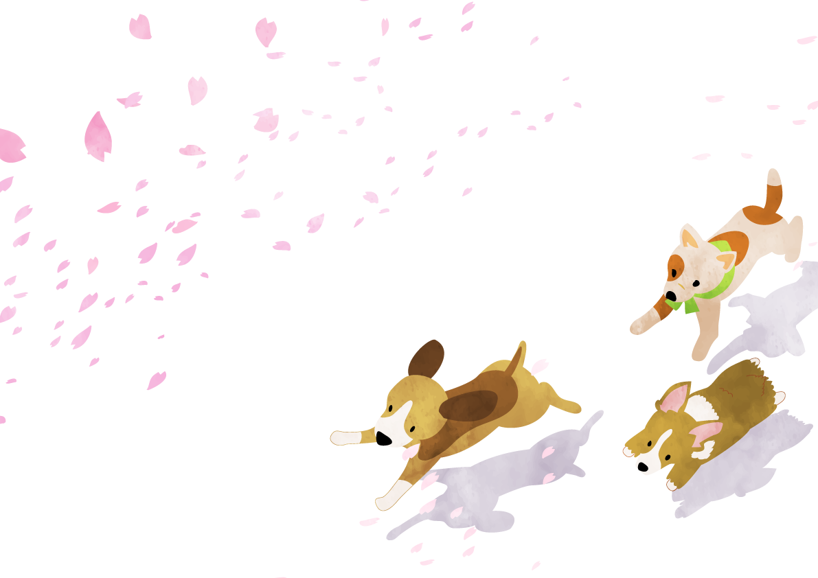 桜の花びら背景に走る3匹の犬 おしゃれ無料イラスト80355に写真・文字を入れる