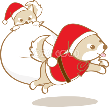 かわいいクリスマス(柴犬サンタクロースたち)無料イラスト80510