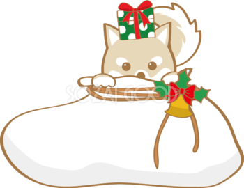 かわいいクリスマス(プレゼントから覗く柴犬)無料イラスト80546