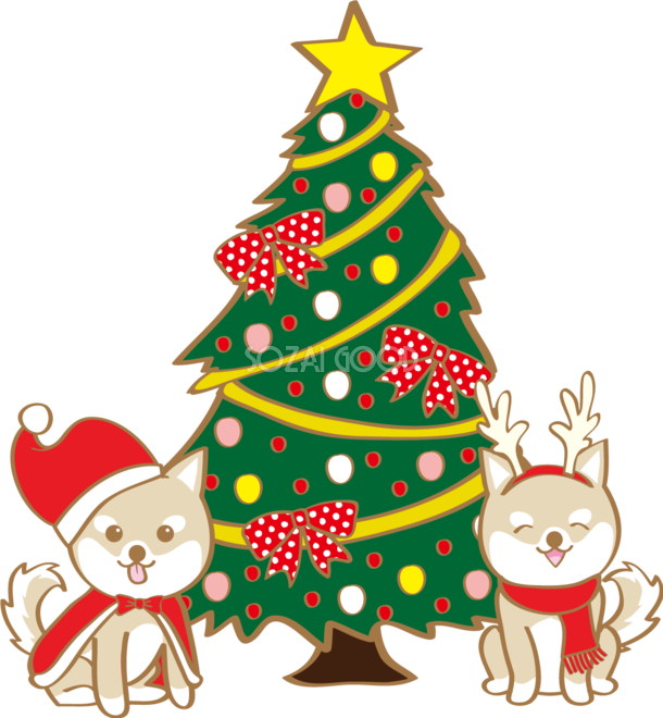 かわいいクリスマス ツリーと二匹の柴犬 無料イラスト 素材good