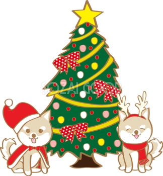 かわいいクリスマス(ツリーと二匹の柴犬)無料イラスト80600