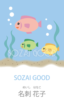 かわいい魚の動物名刺デザインテンプレート無料イラスト80747