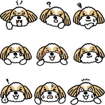 かわいい犬(シーズー)の表情の無料イラスト81091