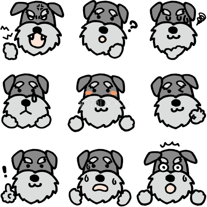 かわいい犬 ミニチュア シュナウザー の表情の無料イラスト 素材good