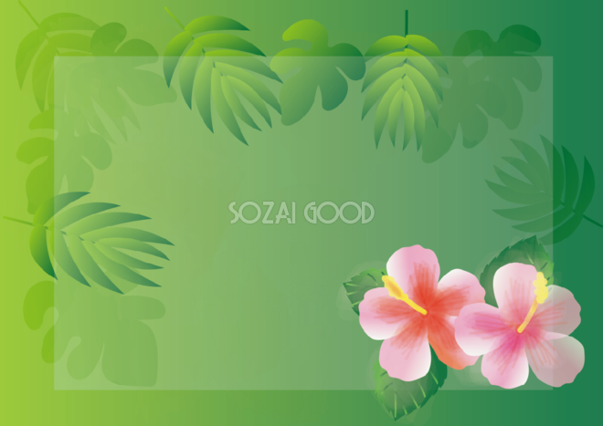 ハイビスカス シンプル 熱帯植物緑色 花のフレーム 背景の無料イラスト 素材good