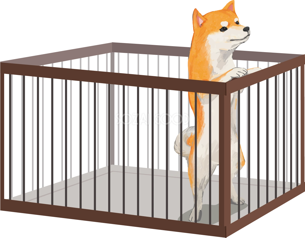 ケージと柴犬 リアル手書き風無料イラスト81399