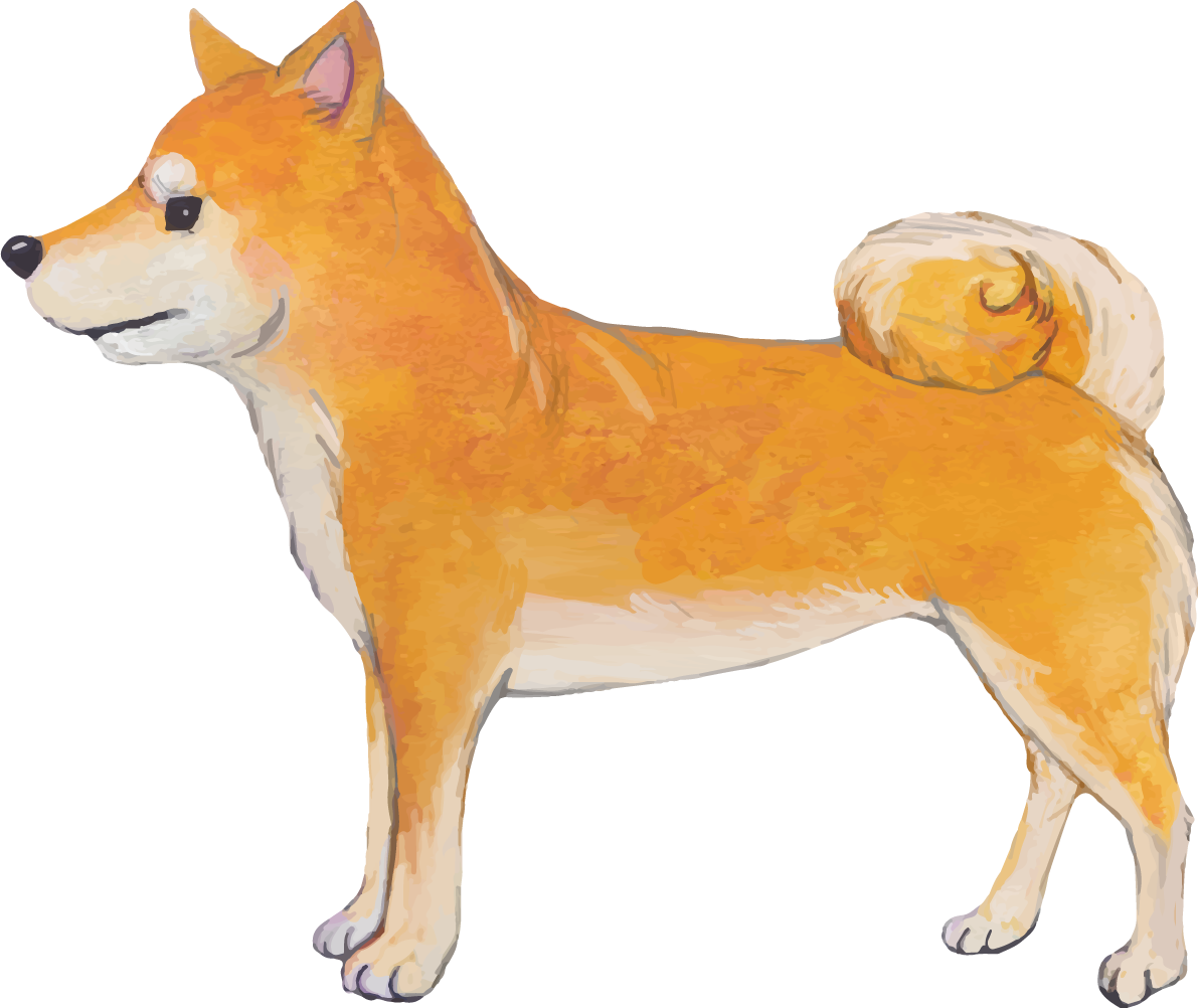 柴犬の横向き リアル手書き風無料イラスト81404に写真・文字を入れる