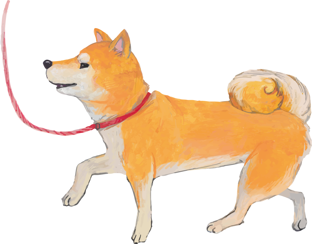 柴犬の散歩 リアル手書き風無料イラスト81406に写真・文字を入れる
