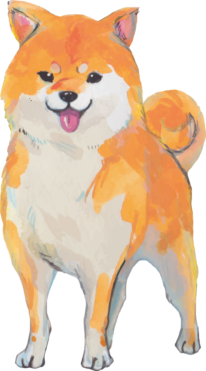 柴犬の正面 リアル手書き風無料イラスト81410に写真・文字を入れる