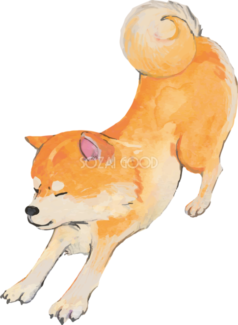 最高リアル 犬 イラスト 手書き 動物画像のすべて