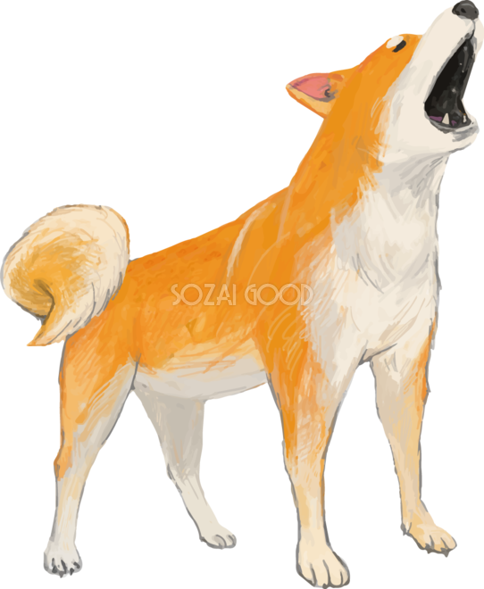 柴犬 イラスト