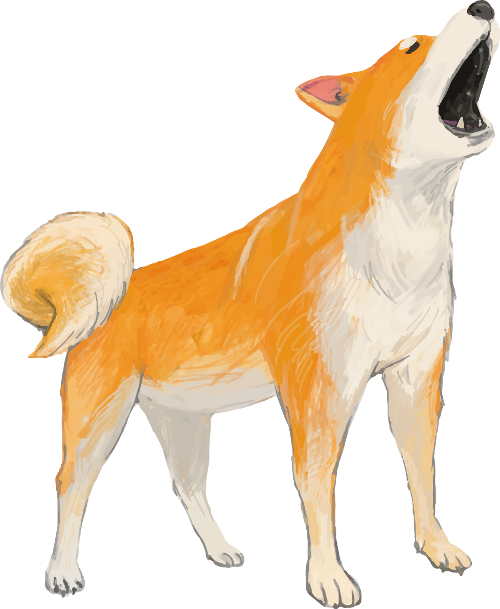柴犬の吠える リアル手書き風無料イラスト81414に写真・文字を入れる