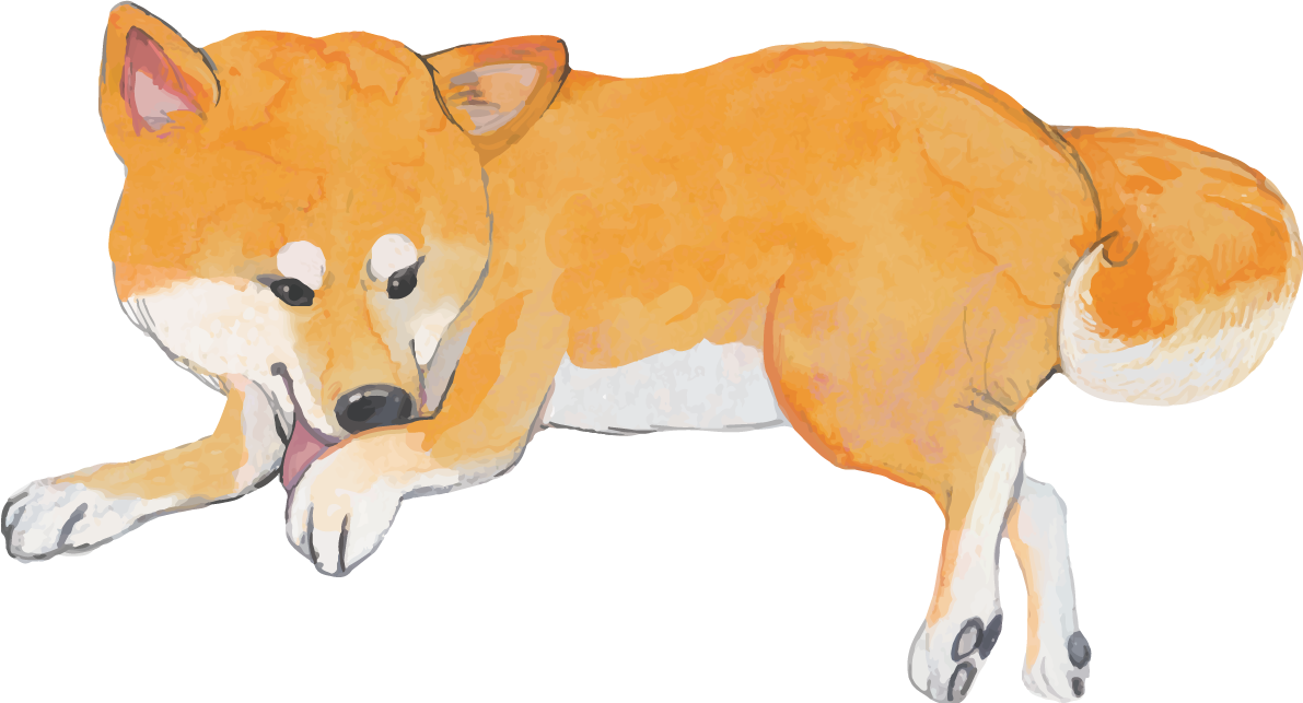 柴犬の毛づくろい リアル手書き風無料イラスト81415に写真・文字を入れる