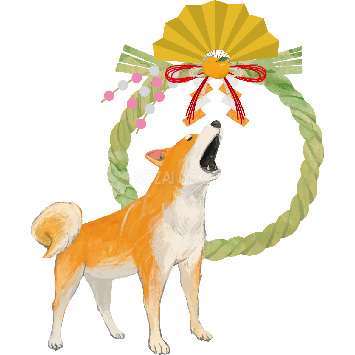 (正月飾りと柴犬)戌年2018干支無料イラスト81430