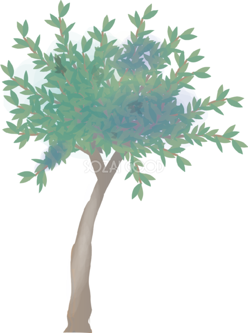 シンプルなオリーブの木の無料イラスト81505 素材good