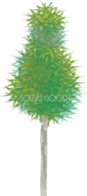 シンプルな杉の木の無料イラスト81508 素材good